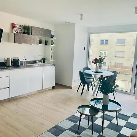 New One Bedroom In Center With Terrace Appartement *